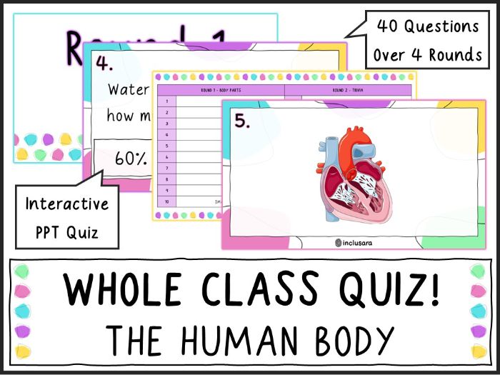Whole Class Human Body Quiz, End of Year/Term Quizzes