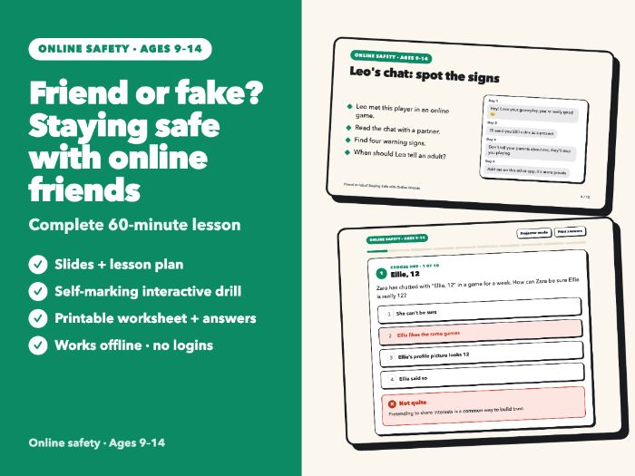 Online Safety Lesson: Online Friends, Fake Profiles & Warning Signs | Slides, Drill | Ages 9-14