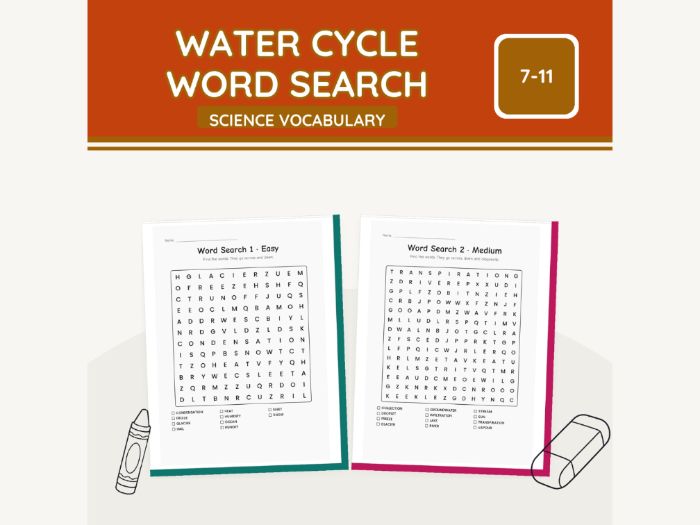 Water Cycle Word Search KS2 Science | 7 pp