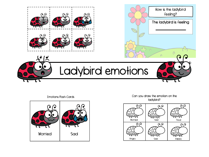 Ladybird emotions