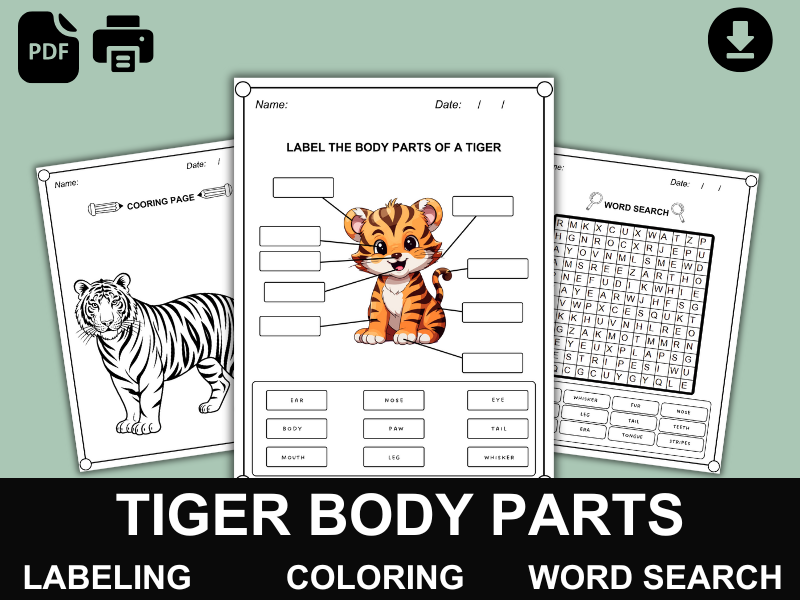 Tiger Body Parts | Labeling, Coloring & Word Search | Wildlife & Big Cats PDF