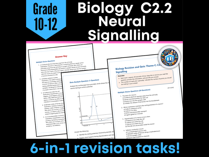IB DP Biology C2.2 Neural Signalling Quiz and Revision Worksheets 2026