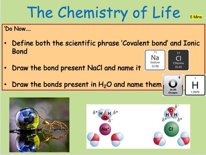 Edexcel IAL Biology Topic 1A Lesson 1 - Chemistry of Life and Water
