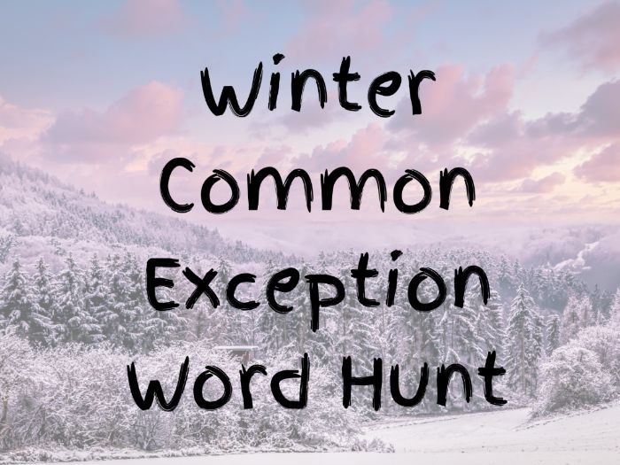 Winter Themed Word Hunt - KS1/EYFS
