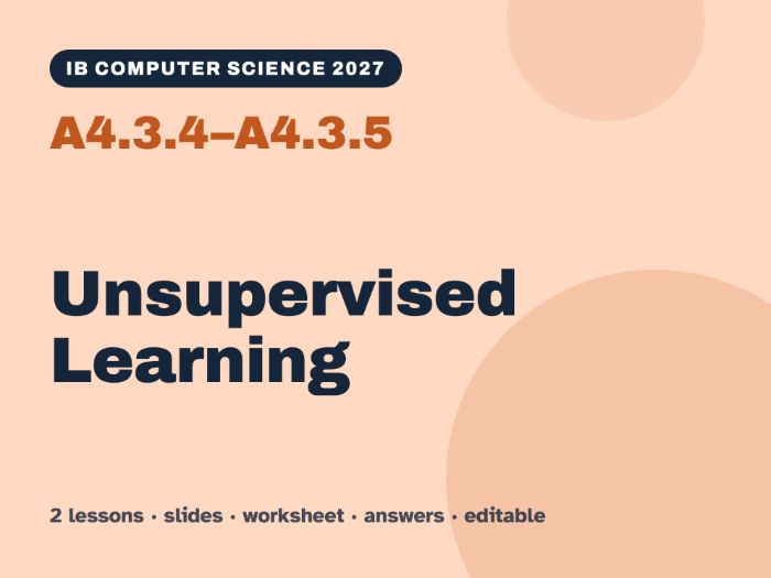 IB Computer Science 2027 – A4.3.4–A4.3.5 Unsupervised Learning – 2 Lessons & Worksheets
