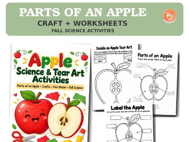 Apple Parts Worksheets and Crafts | EYFS