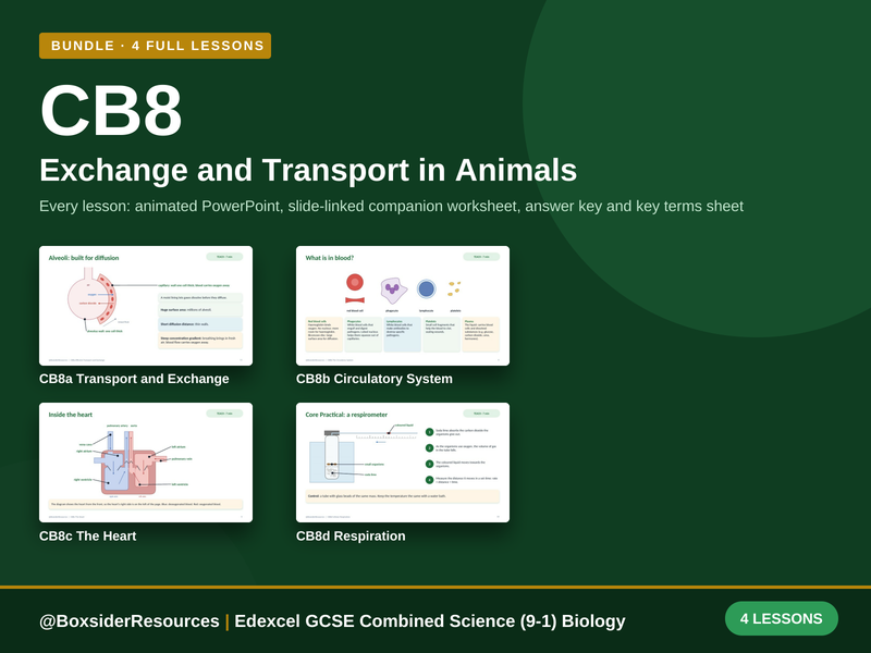CB8 Exchange and Transport in Animals | Edexcel GCSE Combined Science (9-1) | 4 Lesson Bundle