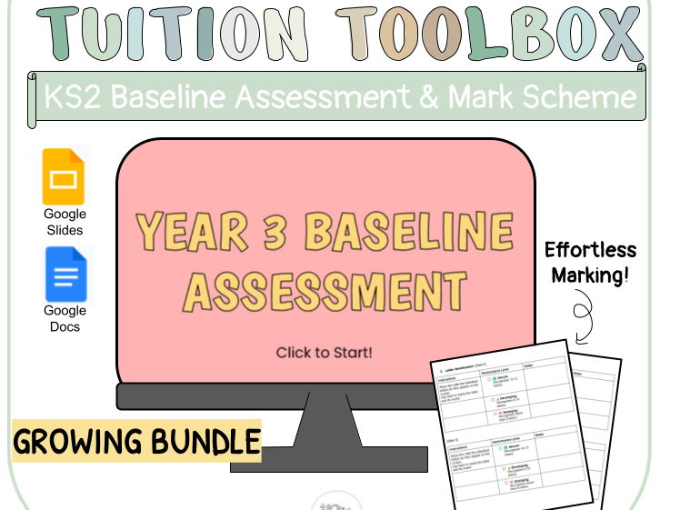Year 3 Baseline Assessment