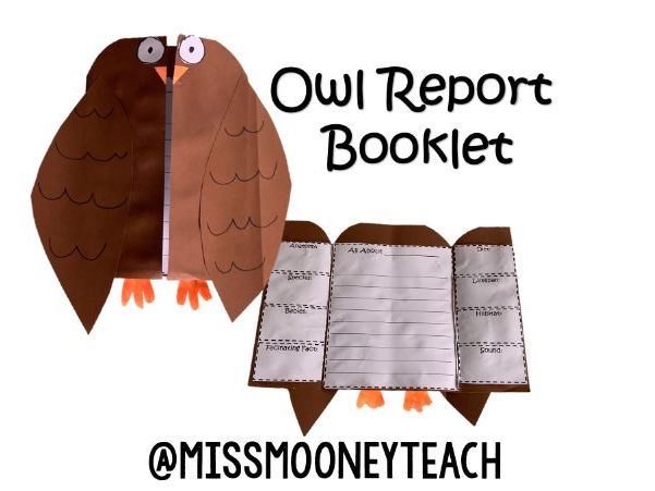 Owl Report Booklet Template