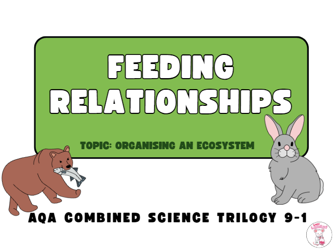 Feeding Relationships