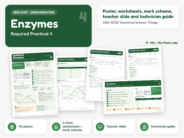 Enzymes Required Practical 4 Resources - AQA GCSE Combined Science Trilogy
