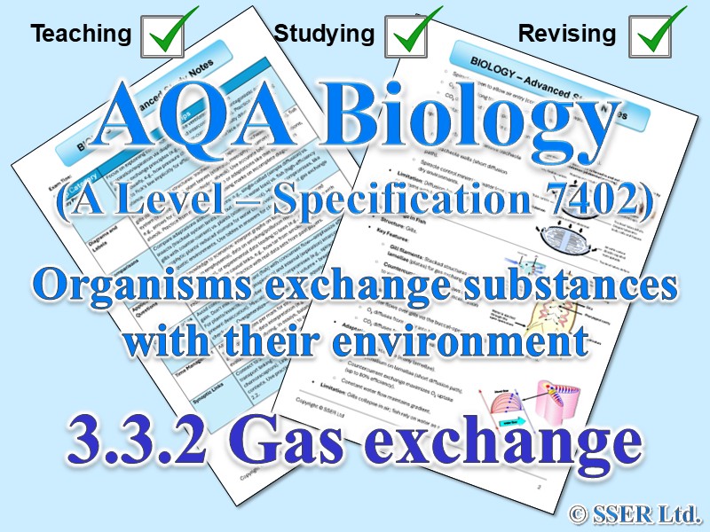 BIOA_AQA Topic Notes: 3.3.2 Gas exchange