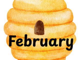 Bee days of the week and months of the year