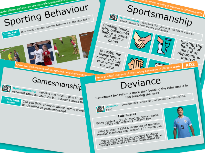 6. Sporting Behaviour