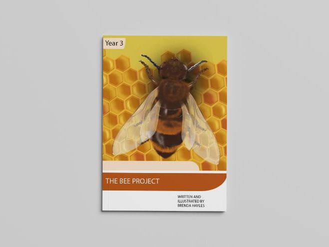 The Bee project Year 3 Booklet