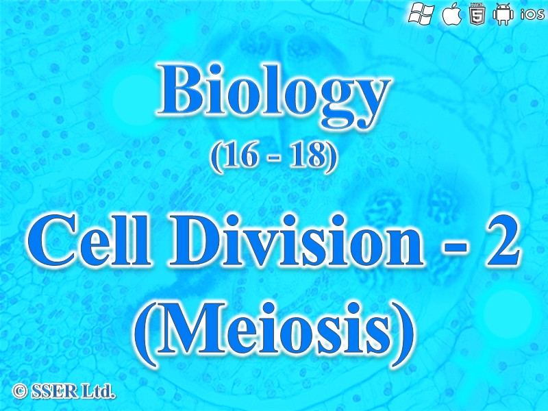 BioA_3.4.3 Meiosis