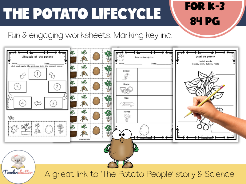 potato life cycle worksheet kit
