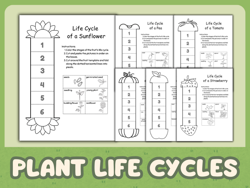 Plant Life Cycles - A Cut and Paste Activity for Kids