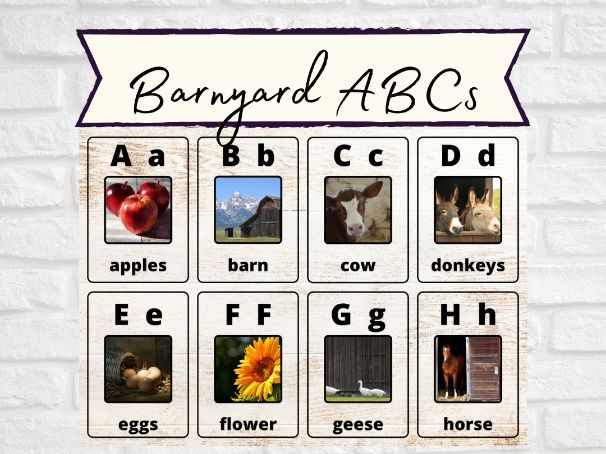 Barnyard ABCs Flash Cards