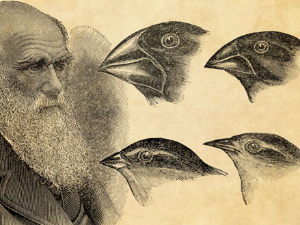 Exploring Darwin's context, response and legacy