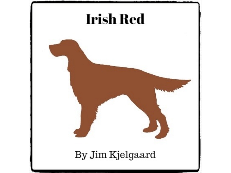 Irish Red (Reed Novel Studies) Teaching Resources