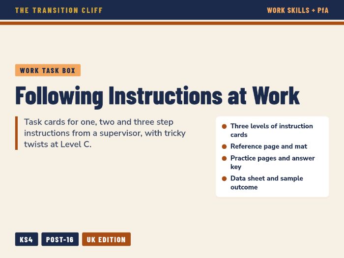 Following Instructions at Work Task Box: 1, 2 and 3 Step Directions for SEND Employability