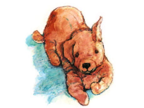 Dogger Literacy and Numeracy Pack