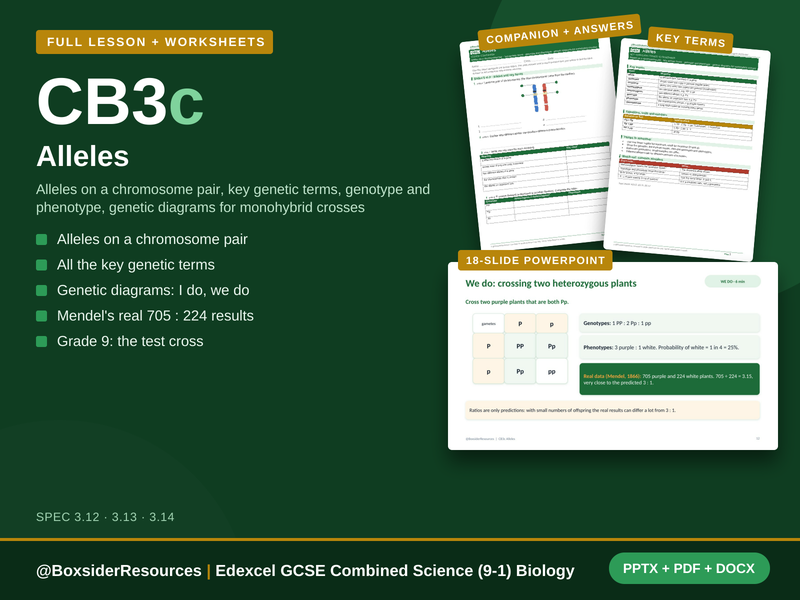 CB3c Alleles | Edexcel GCSE Combined Science (9-1) | Lesson + Worksheet