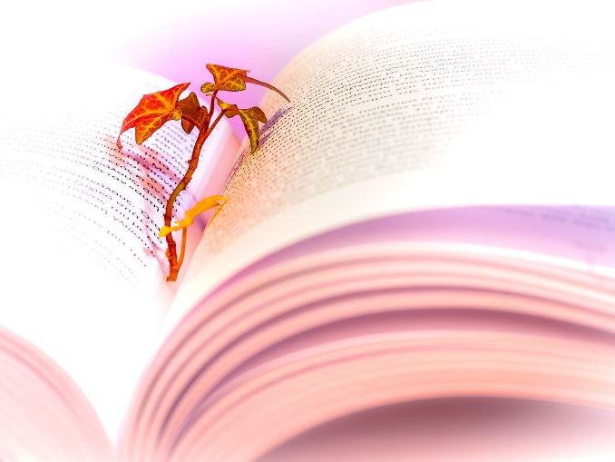 CIE GCSE Literature: Ted Hughes