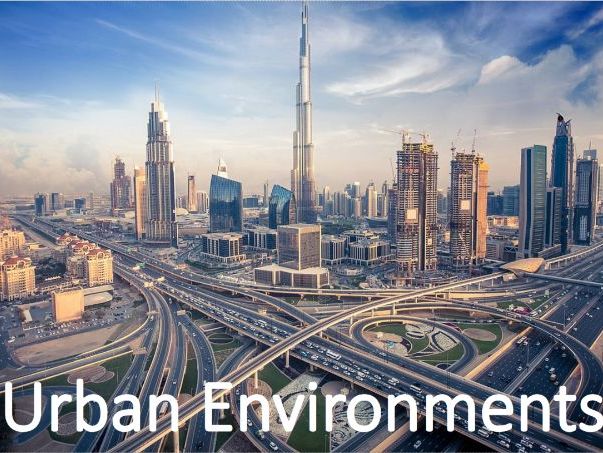 Edexcel IGCSE Urban Environments Bundle