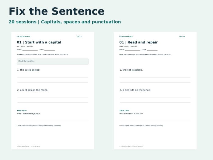 Fix the Sentence: Year 1-2 Editing Practice