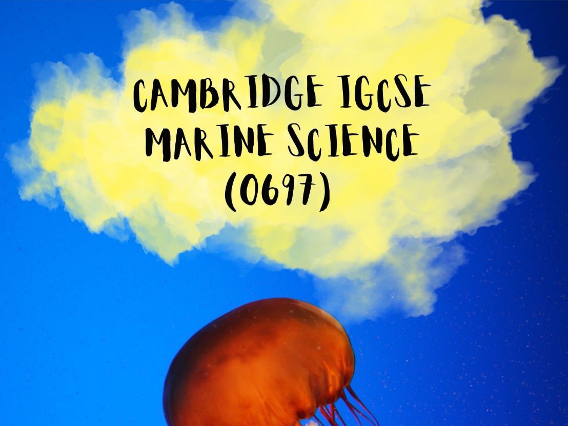 Cambridge IGCSE Marine Science 0697 Complete Revision Bundle  Theory, Practicals, Worksheets & Quizzes