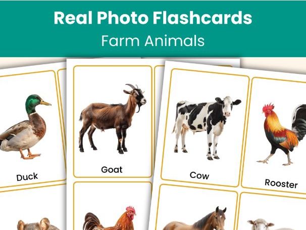 Farm Animals Flashcards | Real Photo Vocabulary Cards | Printable Learning Resource