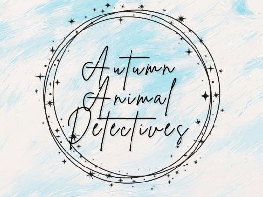 Autumn Animal Detectives - Who Can You See?