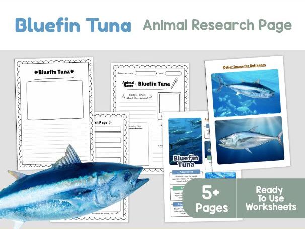 Bluefin Tuna Worksheets | Ocean Animal Research Project for Kids