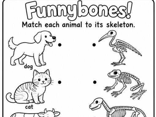 Funnybones Skeleton Matching Animals