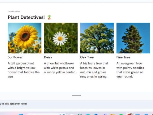 Plant Detectives! - Lesson/Assembly - Powerpoint