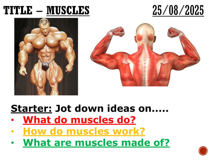 Muscles - complete lesson (KS3)