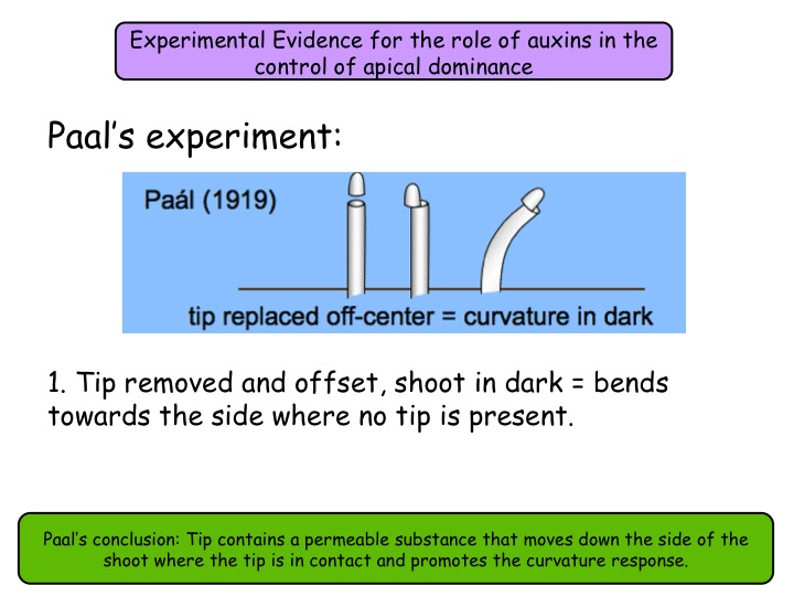 14.2 Plant growth factors NEW Year 13 Biology specification