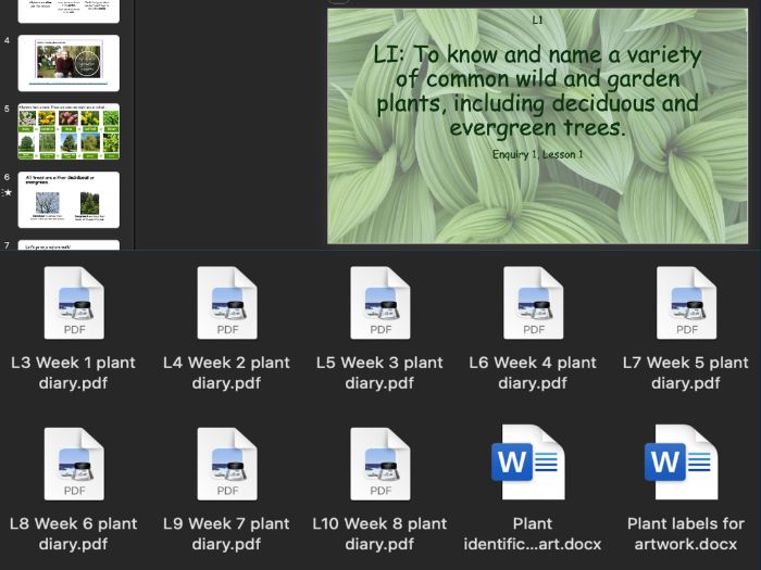 Year 1 Plants Science Topic - FULL UNIT