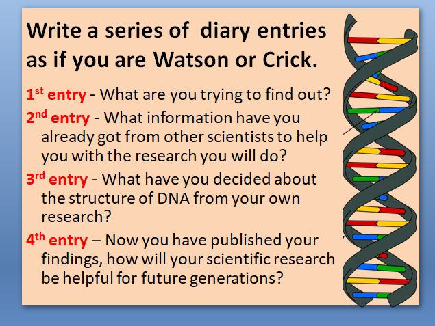 DNA Structure - Watson and Crick | Teaching Resources