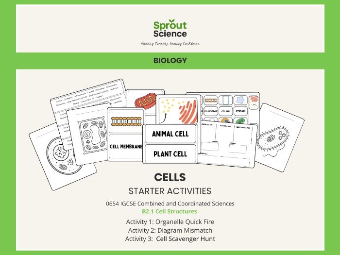 Starter Activities| Cells