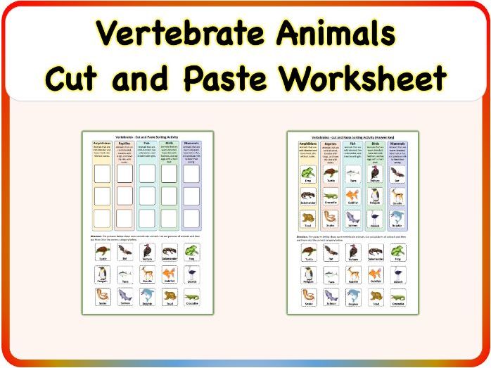 Vertebrate Animals - Cut and Paste Sorting Worksheet (Printable PDF)