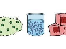 States of matter - Year 4