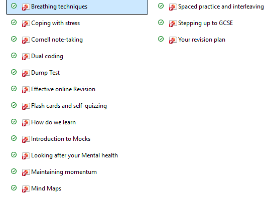 GCSE Revision Techniques