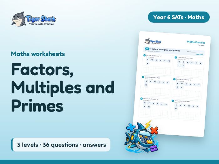 Factors, Multiples and Primes Worksheets