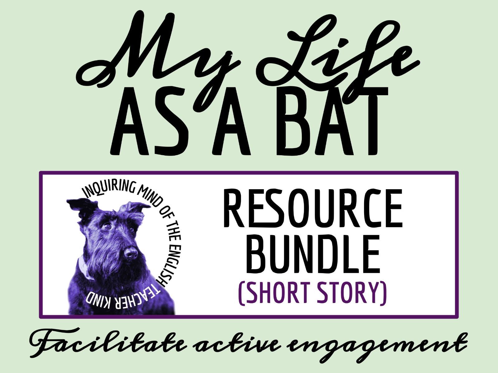"My Life as a Bat" by Margaret Atwood Quiz, Analysis Worksheet, and Vocabulary Activities