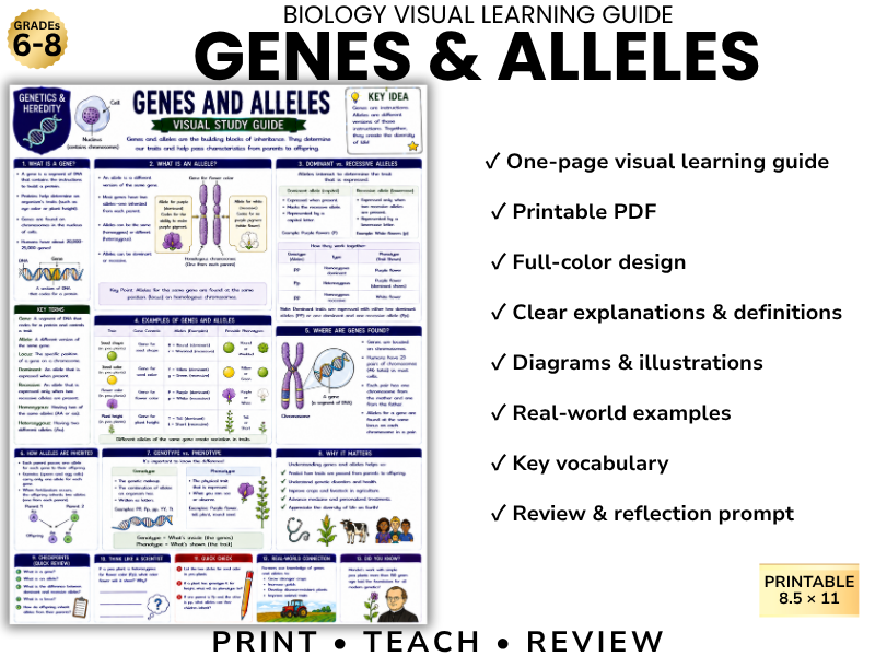 GENES & ALLELES | Biology Visual Learning Guide | Grade 8 & Middle School Science