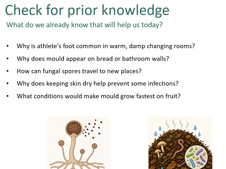 Fungal disease (Biology GCSE AQA)