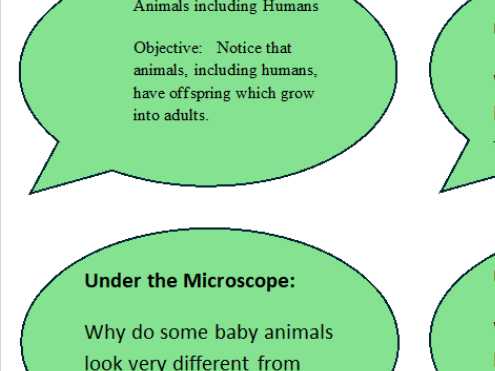 Greater depth science extension questions - Year 2